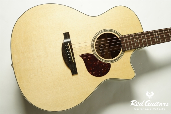 F120-GA Sitka Spruce / African Mahogany